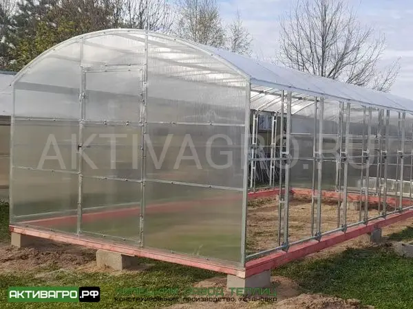 Теплица Ударница Благодатная, ширина 3/3.5 м, труба 40х20 + 20х20 Теплица Ударница Благодатная, ширина 3/3.5 м, труба 40х20 + 20х20